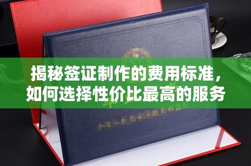 大同揭秘签证制作的费用标准，如何选择性价比最高的服务？